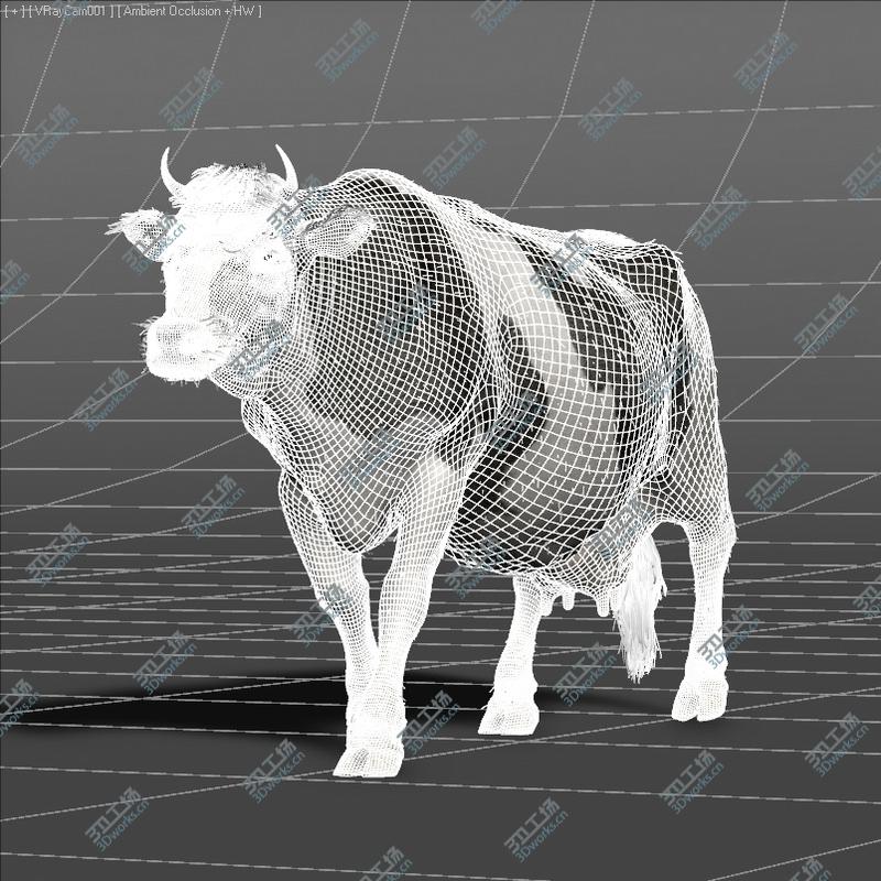 images/goods_img/202104091/Cow - realistic - rigged and animated/3.jpg